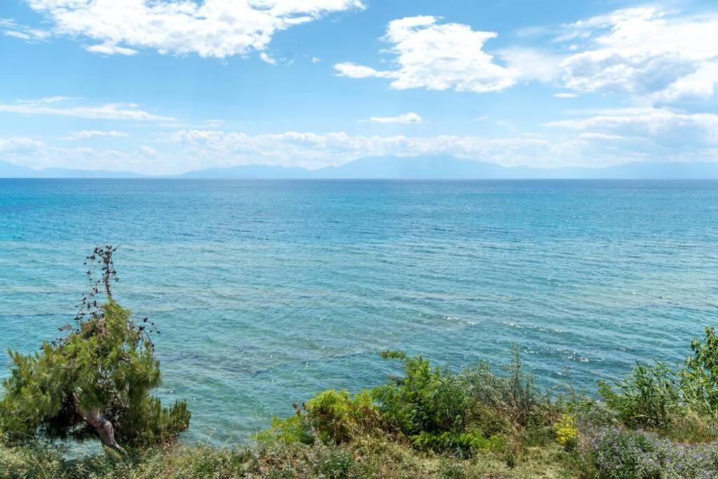 Seafront 2 Bedrooms Apartment Nea Irakleia Exteriör bild